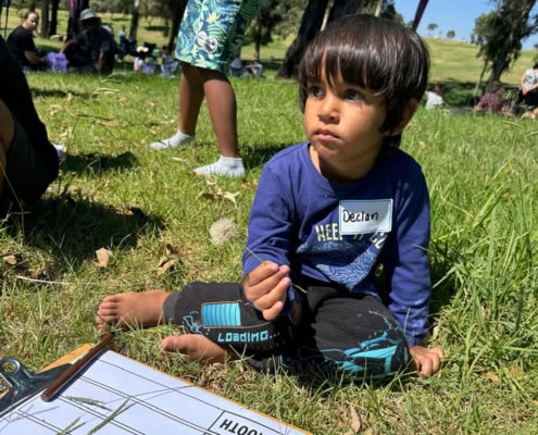 Little pre-school boy holding a dandelion in a park with Think Digital Academy virtual school.