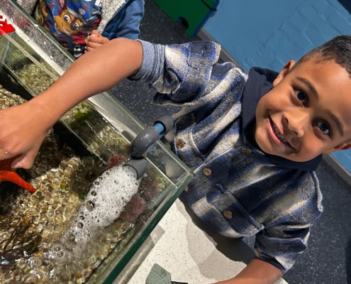 Primary school boy enjoying an interactive activity at the Two Oceans Aquarium in 2024.