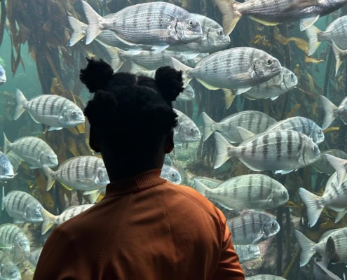 Primary school child enjoying the fish at the Two Oceans Aquarium in 2024.