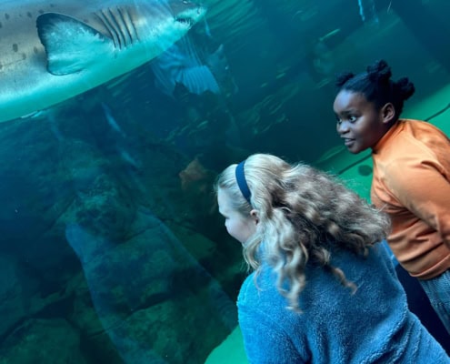 Two primary school girls enjoying their field trip to the Two Oceans Aquarium in 2024.