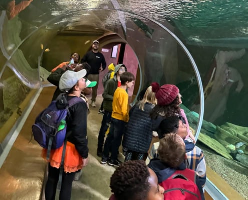 Grades 4, 5 and 6 students enjoying the underwater world during a field trip to the Johannesburg Zoo in 2024.