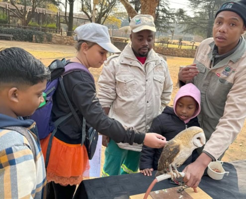 Primary school children enjoying a close owl encounter at the Johannesburg Zoo in 2024.